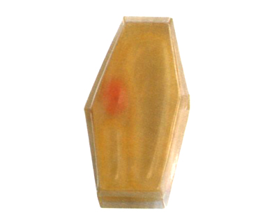 ֲ：ģ